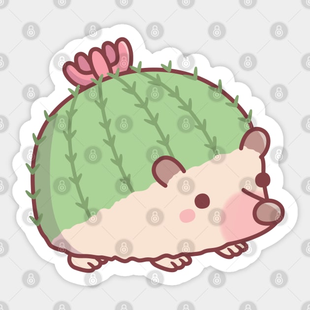 Cute Cactus Hedgehog Funny Sticker by rustydoodle